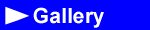 Satellite image gallery